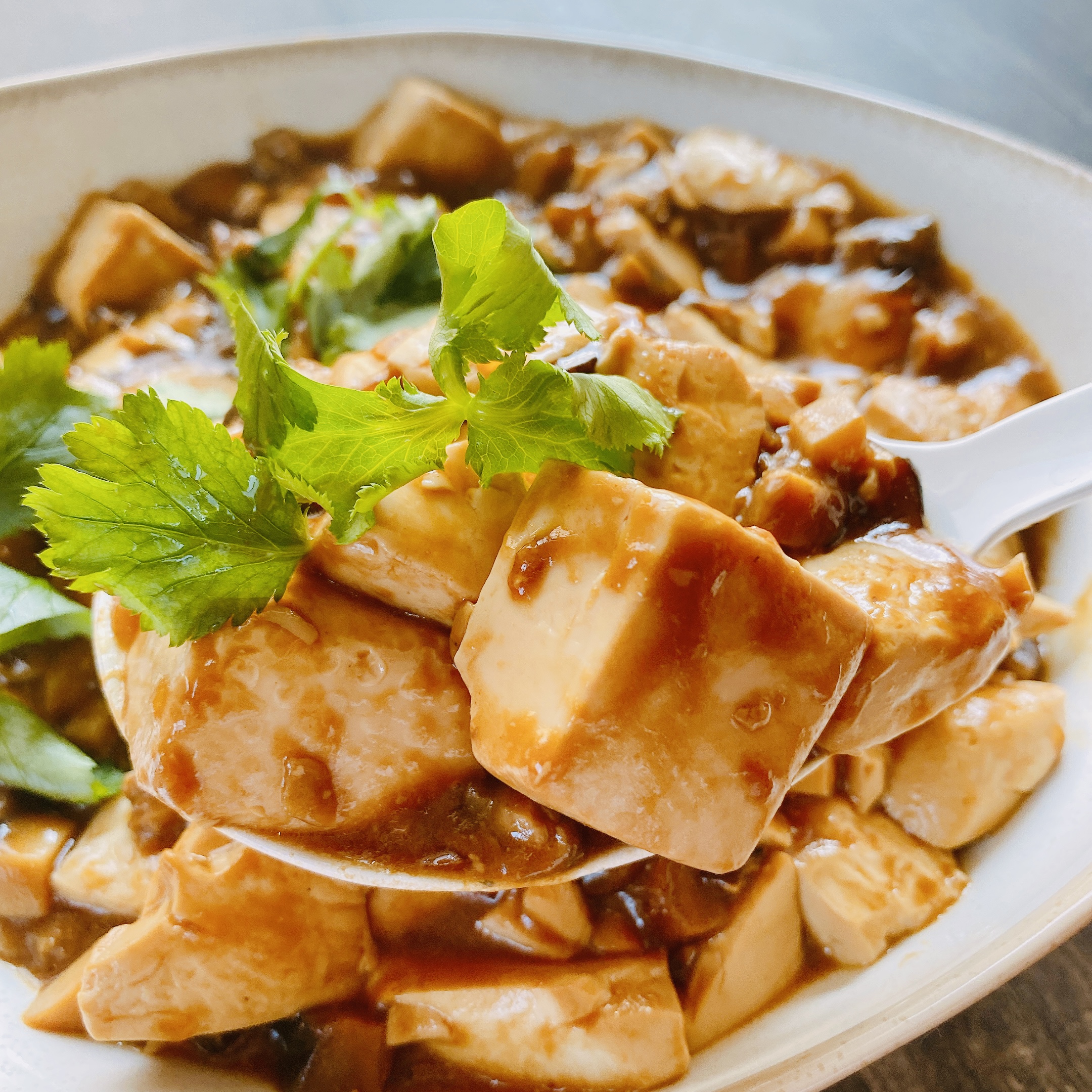 Vegan Mapo Tofu